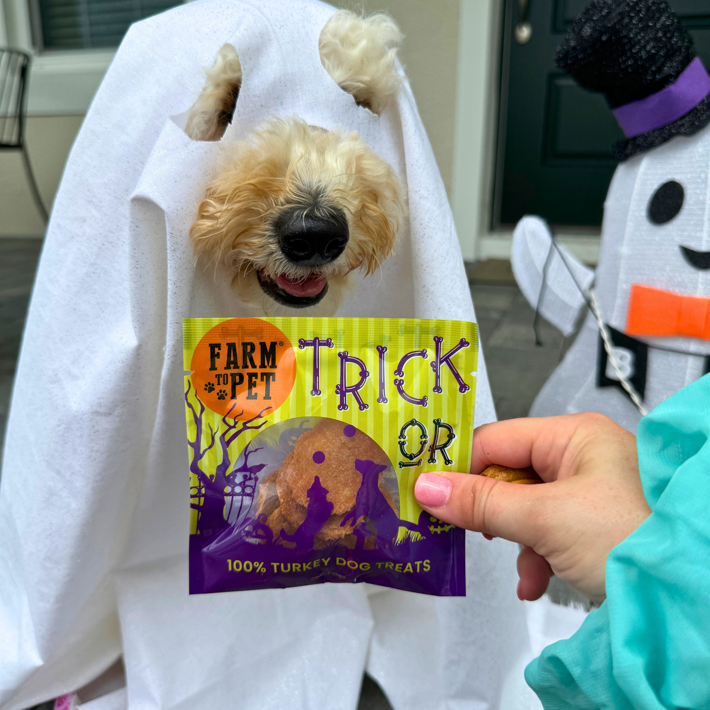 Halloween Dog Treat (2 pack) Chicken, Turkey, Beef, & Fish Snack Pack