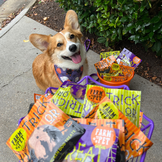 Halloween Dog Treat (2 pack) Chicken, Turkey, Beef, & Fish Snack Pack